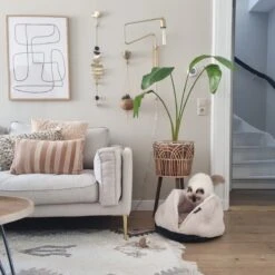 District 70 TUCK - Luxe & Comfortabele Mand Kleine Honden - Terra, Donkergrijs & Zand - 50x50x30 Cm - Zand -Hondenspeelgoed Winkel 1200x1200 744