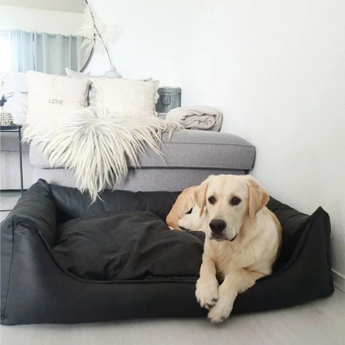 Maxxnobel Orthopedisch Hondenkussen - Lederlook/Teddy - M - 100 X 80 Cm - Zwart 7 Maxxnobel Orthopedisch Hondenkussen - Lederlook/Teddy - M - 100 X 80 Cm - Zwart - Afbeelding 5