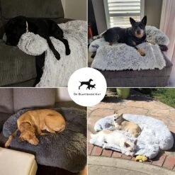 Premium Hondendeken Bank - Hondenkussens - Hondenmand Bank - Hondendeken Voor Op De Bank - Bankbeschermer - Donkergrijs -Hondenspeelgoed Winkel 1200x1200 761