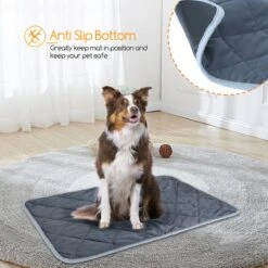 Nobleza Vetbed - Warmtemat - M - Voor Honden En Katten - 60x45cm 16 Nobleza Vetbed - Warmtemat - M - Voor Honden En Katten - 60x45cm -Hondenspeelgoed Winkel 1200x1200 798