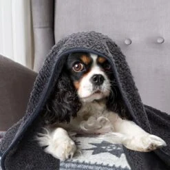 Nobleza 40UWK Hondendeken - Dierenmat - Benchkleed - 120x100cm - Grijs -Hondenspeelgoed Winkel 1200x1200 806