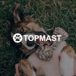 Topmast Waterproof Benchkussen - Nylon - Zwart - 60 X 45 Cm - Benchmat - Benchmatras - Waterafstotend - Hondenkussen -Hondenspeelgoed Winkel 1200x1200 815