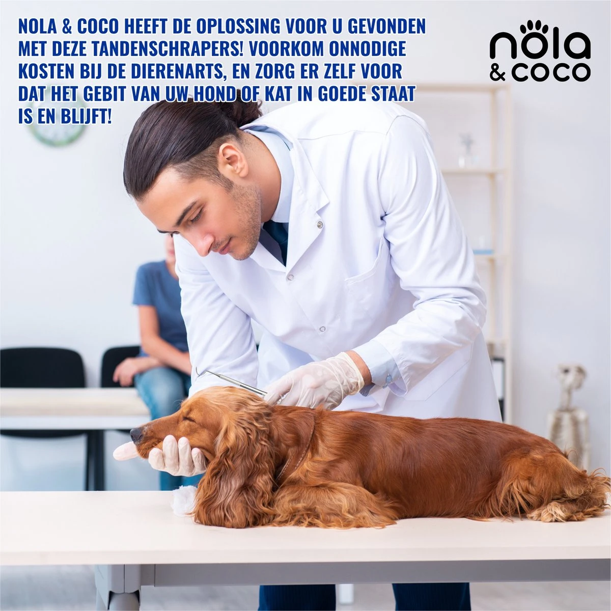 Nola & Coco® Tandsteen Verwijderaar Set Inclusief Bewaardoosje - Tandenkrabber - Set Van Twee - Hond - Kat - Tandenborstel - Tandplak Verwijderen - Tandenstoker - Honden Tanden Schoonmaken - Tandenhaakje - Gebitsreiniging 5 Nola & Coco® Tandsteen Verwijderaar Set Inclusief Bewaardoosje - Tandenkrabber - Set Van Twee - Hond - Kat - Tandenborstel - Tandplak Verwijderen - Tandenstoker - Honden Tanden Schoonmaken - Tandenhaakje - Gebitsreiniging - Afbeelding 3