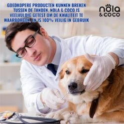 Nola & Coco® Tandsteen Verwijderaar Set Inclusief Bewaardoosje - Tandenkrabber - Set Van Twee - Hond - Kat - Tandenborstel - Tandplak Verwijderen - Tandenstoker - Honden Tanden Schoonmaken - Tandenhaakje - Gebitsreiniging 12 Nola & Coco® Tandsteen Verwijderaar Set Inclusief Bewaardoosje - Tandenkrabber - Set Van Twee - Hond - Kat - Tandenborstel - Tandplak Verwijderen - Tandenstoker - Honden Tanden Schoonmaken - Tandenhaakje - Gebitsreiniging -Hondenspeelgoed Winkel 1200x1200 839