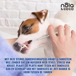 Nola & Coco® Tandsteen Verwijderaar Set Inclusief Bewaardoosje - Tandenkrabber - Set Van Twee - Hond - Kat - Tandenborstel - Tandplak Verwijderen - Tandenstoker - Honden Tanden Schoonmaken - Tandenhaakje - Gebitsreiniging 14 Nola & Coco® Tandsteen Verwijderaar Set Inclusief Bewaardoosje - Tandenkrabber - Set Van Twee - Hond - Kat - Tandenborstel - Tandplak Verwijderen - Tandenstoker - Honden Tanden Schoonmaken - Tandenhaakje - Gebitsreiniging -Hondenspeelgoed Winkel 1200x1200 841