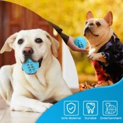 Nobleza Honden Speelgoed - Hondenspeeltjes - Hondenbal - Hondenspeelgoed - Honden Bal - Snackbal Hond - Kauwspeelgoed - Blauw - 8 Cm 14 Nobleza Honden Speelgoed - Hondenspeeltjes - Hondenbal - Hondenspeelgoed - Honden Bal - Snackbal Hond - Kauwspeelgoed - Blauw - 8 Cm -Hondenspeelgoed Winkel 1200x1200 865