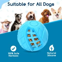 Nobleza Honden Speelgoed - Hondenspeeltjes - Hondenbal - Hondenspeelgoed - Honden Bal - Snackbal Hond - Kauwspeelgoed - Blauw - 8 Cm 17 Nobleza Honden Speelgoed - Hondenspeeltjes - Hondenbal - Hondenspeelgoed - Honden Bal - Snackbal Hond - Kauwspeelgoed - Blauw - 8 Cm -Hondenspeelgoed Winkel 1200x1200 867