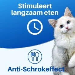 JT Products Siliconen Snuffelmat Zwart - Voor Hond En Kat – Puppy – Kitten – Konijn - Voerbak – Agility Voor De Hond - Honden Speelgoed Intelligentie – Denkspel Hond – Speelgoed Hondje Interactief – Anti Schrok Mat - Likmat 16 JT Products Siliconen Snuffelmat Zwart - Voor Hond En Kat – Puppy – Kitten – Konijn - Voerbak – Agility Voor De Hond - Honden Speelgoed Intelligentie – Denkspel Hond – Speelgoed Hondje Interactief – Anti Schrok Mat - Likmat -Hondenspeelgoed Winkel 1200x1200 879