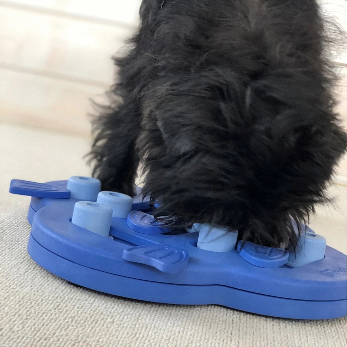 Nina Ottosson Dog Hide N Slide Composiet 33x33x5 Cm 10 Nina Ottosson Dog Hide N Slide Composiet 33x33x5 Cm - Afbeelding 8