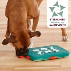 Nina Ottosson Dog Casino - Turquoise/Oranje - 31,5 X 26 X 4,5 Cm -Hondenspeelgoed Winkel 1200x1200 898