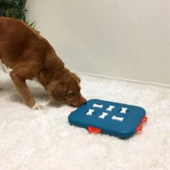 Nina Ottosson Dog Casino - Turquoise/Oranje - 31,5 X 26 X 4,5 Cm -Hondenspeelgoed Winkel 1200x1200 900