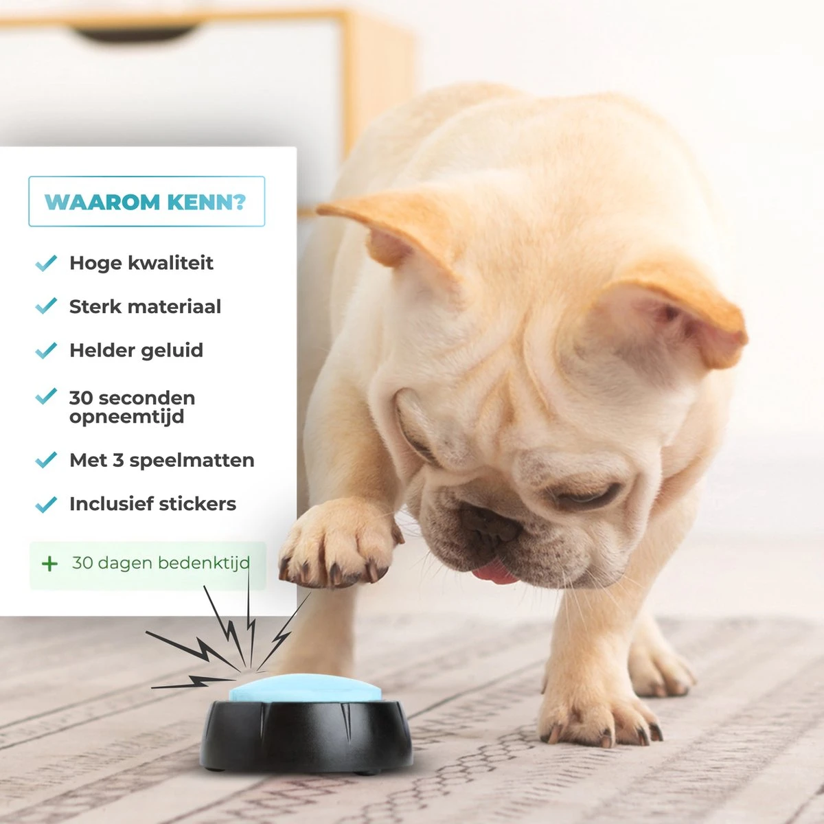 KENN® Hondenpraatknoppen - 6 Stuks - Inclusief Speelmatten - Dog Buttons - Hondenspeelgoed - Opneembare Praatknoppen - Hondentraining - Interactief Hondenspeelgoed 4 KENN® Hondenpraatknoppen - 6 Stuks - Inclusief Speelmatten - Dog Buttons - Hondenspeelgoed - Opneembare Praatknoppen - Hondentraining - Interactief Hondenspeelgoed - Afbeelding 2