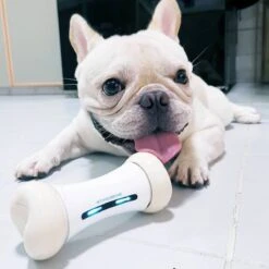 Cheerble Wickedbone|Automatisch Hondenspeeltje|Interactief En Intelligent Speelgoed Voor Honden|App & Bluetooth Bestuurbaar|USB Oplaadbaar 21 Cheerble Wickedbone|Automatisch Hondenspeeltje|Interactief En Intelligent Speelgoed Voor Honden|App & Bluetooth Bestuurbaar|USB Oplaadbaar -Hondenspeelgoed Winkel 1200x1200 915