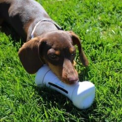 Cheerble Wickedbone|Automatisch Hondenspeeltje|Interactief En Intelligent Speelgoed Voor Honden|App & Bluetooth Bestuurbaar|USB Oplaadbaar 24 Cheerble Wickedbone|Automatisch Hondenspeeltje|Interactief En Intelligent Speelgoed Voor Honden|App & Bluetooth Bestuurbaar|USB Oplaadbaar -Hondenspeelgoed Winkel 1200x1200 917