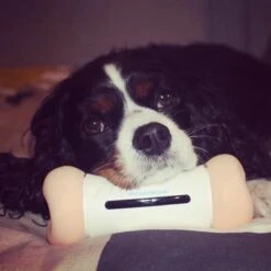 Cheerble Wickedbone|Automatisch Hondenspeeltje|Interactief En Intelligent Speelgoed Voor Honden|App & Bluetooth Bestuurbaar|USB Oplaadbaar 25 Cheerble Wickedbone|Automatisch Hondenspeeltje|Interactief En Intelligent Speelgoed Voor Honden|App & Bluetooth Bestuurbaar|USB Oplaadbaar -Hondenspeelgoed Winkel 1200x1200 918