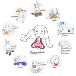 Trixie Honden Activity Flip Board - Hondenspeelgoed - Wit/Blauw - 23 Cm -Hondenspeelgoed Winkel 1200x1200 921