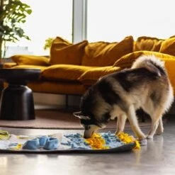 Snuffies Snuffelmat Jara 100x65cm - Snuffelmat – Snuffelmatten - Honden Speelgoed - Honden Speelgoed Intelligentie – Snuffelmat - Snuffelmat Hond - Snuffelmatten – Hersenwerk – Honden Speeltjes – Puppy - Puppy Speelgoed - Honden Denkspelletjes -Hondenspeelgoed Winkel 1200x1200 935