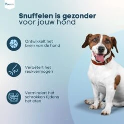 Pawzle Snuffelmat Hond - Likmat - Anti Schrokbak - Honden Speelgoed Intelligentie - Puppy - Inclusief Speelbal - 50x50cm - Blauw 16 Pawzle Snuffelmat Hond - Likmat - Anti Schrokbak - Honden Speelgoed Intelligentie - Puppy - Inclusief Speelbal - 50x50cm - Blauw -Hondenspeelgoed Winkel 1200x1200 953
