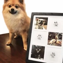 Merkloos Paw Print Pad - Pootafdruk Maken Van Hond Of Kat -Hondenspeelgoed Winkel 1200x1200 957