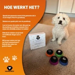 Vulpes Pets® PRO Praatknop Voor Honden Met Speelmat - Dogbuttons - Laat Uw Huisdier Spreken - Hondenspeelgoed - Honden Training - Inclusief E-Book En Speelmat -Hondenspeelgoed Winkel 1200x1200 969