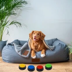 Comfort Company Praatknop Hond | Dogbuttons – Honden Speelgoed | Honden Speelgoed Intelligentie | 4 Stuks | Agility Voor De Hond | 30 Seconden Opnamen | Honden Training -Hondenspeelgoed Winkel 1200x1200 975