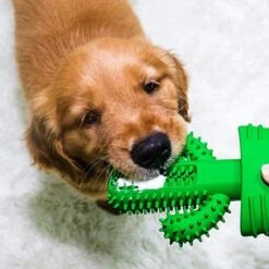 Tandenborstel + TANDPASTA Hond Melk Geur Smaak En Piep Honden Speelgoed - Cactus Dog Toy Tandverzorging Kauwbotten Hondenspeelgoed Hondenbot Kauwstaaf Tanden Puppy Hondenspeeltje Sterk Kauwspeelgoed - Dutchwide -Hondenspeelgoed Winkel 1200x1200 999