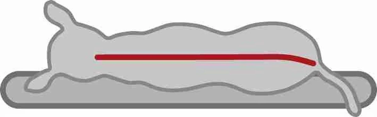 Trixie Vitaal Orthopedische Kussen Taupe/Lichtgrijs - 60 X 40 CM 5 Trixie Vitaal Orthopedische Kussen Taupe/Lichtgrijs - 60 X 40 CM - Afbeelding 3