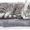 Nobleza Benchkussen - Dierenkussen - Hondenkussen - Kattenkussen - Benchmat - Dierenmat - Hondenmat - Kattenmat - Grijs - Maat S -Hondenspeelgoed Winkel 1200x531