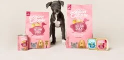 Edgard & Cooper Eend & Kip Blik - Voor Puppy's - Hondenvoer - 12 X 400 G -Hondenspeelgoed Winkel 1200x581