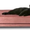 Maxxpro Katten- En Hondenbank - Roze - Verhoogd Met Houten Poten - Fluweel Materiaal - 90 X 44 X 34 CM - Huisdieren Tot 80 KG -Hondenspeelgoed Winkel 1200x585 4