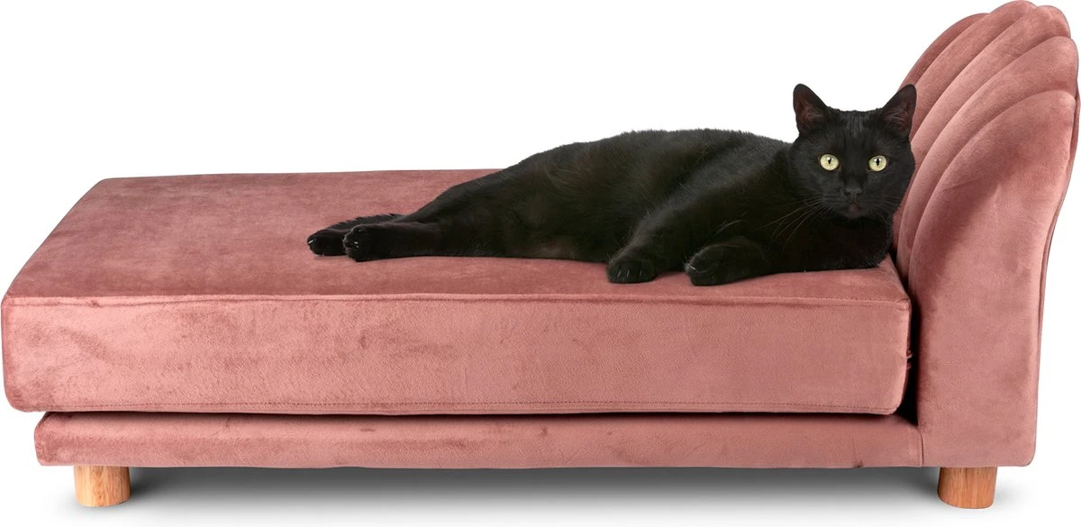 Maxxpro Katten- En Hondenbank - Roze - Verhoogd Met Houten Poten - Fluweel Materiaal - 90 X 44 X 34 CM - Huisdieren Tot 80 KG 3 Maxxpro Katten- En Hondenbank - Roze - Verhoogd Met Houten Poten - Fluweel Materiaal - 90 X 44 X 34 CM - Huisdieren Tot 80 KG