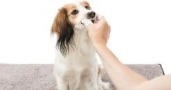 Trixie Verzorgingsvinger - 50 Stuks -Hondenspeelgoed Winkel 1200x630