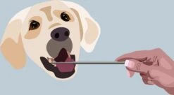 AE Dogz Tandsteenverwijderaar/Tandenkrabber 8 AE Dogz Tandsteenverwijderaar/Tandenkrabber -Hondenspeelgoed Winkel 1200x663 1