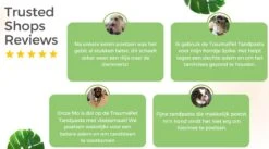 TraumaPet Tandpasta Met Colloïdaal Zilver Voor Dieren | Met Vleessmaak | Bij Stinkende Adem | Tandplak | Geïrriteerd Tandvlees | Tandsteen -Hondenspeelgoed Winkel 1200x666
