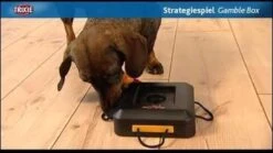 Trixie Dogtoy Dog Activity Strategy Game Gamble Box - Piepend Speelgoed - 15cm X 15cm X 9cm - Zwart/rood/oranje -Hondenspeelgoed Winkel 1200x675 2