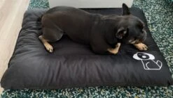Hondenkussen XXXL -Donkergrijs - 85 X 120 X 14 -Hondenspeelgoed Winkel 1200x685