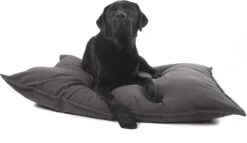 Lex & Max Tivoli - Hondenkussen - Rechthoek - 100x70cm - Grijs 9 Lex & Max Tivoli - Hondenkussen - Rechthoek - 100x70cm - Grijs -Hondenspeelgoed Winkel 1200x695 1