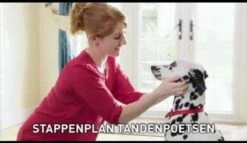 Beaphar Tandpasta - 100 Gr 16 Beaphar Tandpasta - 100 Gr -Hondenspeelgoed Winkel 1200x697 2