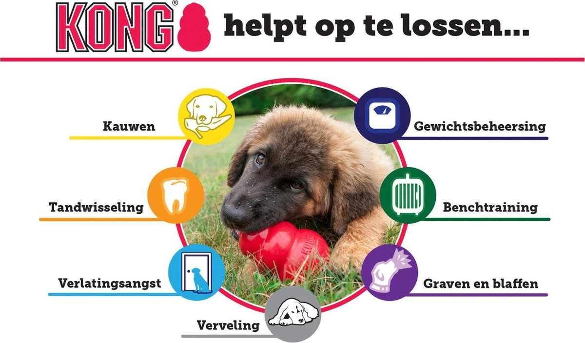 Kong Puppy - Hondenspeelgoed - Assorti - M 15 Kong Puppy - Hondenspeelgoed - Assorti - M - Afbeelding 13