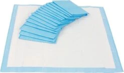 Easypets Puppy Training Pads - Zindelijkheidstraining - Hondentoilet - 58 X 58 Cm - 250 Stuks -Hondenspeelgoed Winkel 1200x708