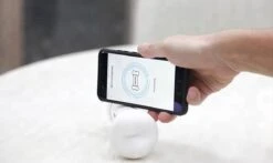 Wickedbone - Automatisch, Interactief En Intelligent Speelgoed Voor Honden - App & Bluetooth Bestuurbaar - USB Oplaadbaar -Hondenspeelgoed Winkel 1200x716