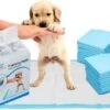 Mr. Poop Toodeloo -Puppy Pads - Training Pads - Maat S: 45 X 33cm - 30 Stuks 2 Mr. Poop Toodeloo -Puppy Pads - Training Pads - Maat S: 45 X 33cm - 30 Stuks -Hondenspeelgoed Winkel 1200x717