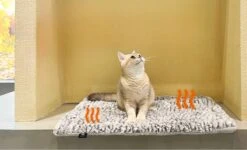 Merkloos Zelfverwarmende Dierendeken Zonder Stroom Thermo Deken Hond Kat Inclusief Adreslabel 70 X 47 Cm 18 Merkloos Zelfverwarmende Dierendeken Zonder Stroom Thermo Deken Hond Kat Inclusief Adreslabel 70 X 47 Cm -Hondenspeelgoed Winkel 1200x730 1