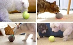 Cheerble Wicked Ball W1| Geel| Zelf Rollende Bal Voor Honden | 3 Automatische Speelmodi | Interactief En Intelligentie Hondenspeelgoed | Hondenspeeltje| USB Oplaadbaar -Hondenspeelgoed Winkel 1200x741