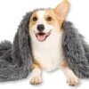 Fluffy Blanket - Pluche Hondendeken - 120 X 100 CM - Grijs - Voor De Auto Of Bank - Fleece 2 Fluffy Blanket - Pluche Hondendeken - 120 X 100 CM - Grijs - Voor De Auto Of Bank - Fleece -Hondenspeelgoed Winkel 1200x749