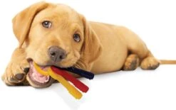 Nylabone Kauwbot - Puppy Kauwspeelgoed - Sleutels Met Baconsmaak - X-Small -Hondenspeelgoed Winkel 1200x752
