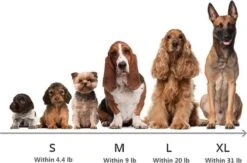 HONDEN RELAX Kussen - Superzacht Fluffy Ronde Mand 100 Cm - Taupe/Zandkleur 13 HONDEN RELAX Kussen - Superzacht Fluffy Ronde Mand 100 Cm - Taupe/Zandkleur -Hondenspeelgoed Winkel 1200x790 8