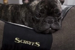 Hondenmand Zacht En Stevig, Anti-Slip En Wasbaar - Scruffs Chester Box Bed - In Grijs En Bruin In Maat S Tot XL - Kleur: Grijs, Maat: Large 40 Hondenmand Zacht En Stevig, Anti-Slip En Wasbaar - Scruffs Chester Box Bed - In Grijs En Bruin In Maat S Tot XL - Kleur: Grijs, Maat: Large -Hondenspeelgoed Winkel 1200x799 11