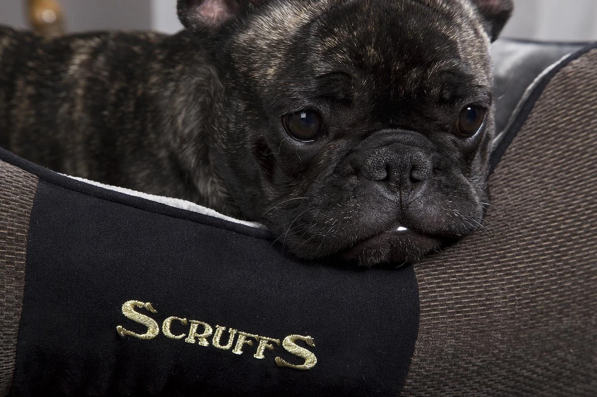 Hondenmand Zacht En Stevig, Anti-Slip En Wasbaar - Scruffs Chester Box Bed - In Grijs En Bruin In Maat S Tot XL - Kleur: Grijs, Maat: Large 21 Hondenmand Zacht En Stevig, Anti-Slip En Wasbaar - Scruffs Chester Box Bed - In Grijs En Bruin In Maat S Tot XL - Kleur: Grijs, Maat: Large - Afbeelding 19