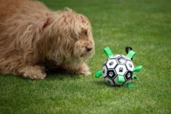 Honden Speelgoed Bal Voetbal Extra Sterk Met Handvaten Ball Hondenbal - 15 Cm - Dutchwide 26 Honden Speelgoed Bal Voetbal Extra Sterk Met Handvaten Ball Hondenbal - 15 Cm - Dutchwide -Hondenspeelgoed Winkel 1200x799 26